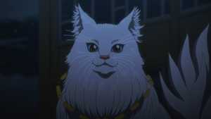 تماشا نسخه دوبله فارسی کامل انیمه سریالی شب زنده داری گربه های زنده Nyaight of the Living Cat 2025 با بهترین کیفیت