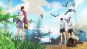 انیمه سریالی آبشار سرنوشت Haikyuu!! تصویر گالری 6