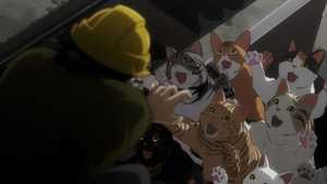 تماشای رایگان انیمه جدید شب زنده داری گربه های زنده Nyaight of the Living Cat 2025 دوبله فارسی کامل با کیفیت عالی