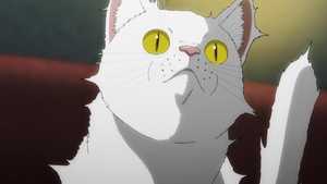 تماشا نسخه دوبله فارسی سریال جدید شب زنده داری گربه های زنده Nyaight of the Living Cat 2025 به صورت کامل ژانر کمدی