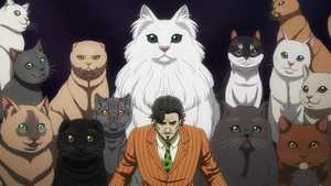 تماشا قسمت 1 تا قسمت آخر انیمه شب زنده داری گربه های زنده Nyaight of the Living Cat 2025 دوبله فارسی با کیفیت بالا