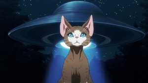 پخش آنلاین فصل اول سریال فانتزی شب زنده داری گربه های زنده Nyaight of the Living Cat 2025 دوبله فارسی کامل