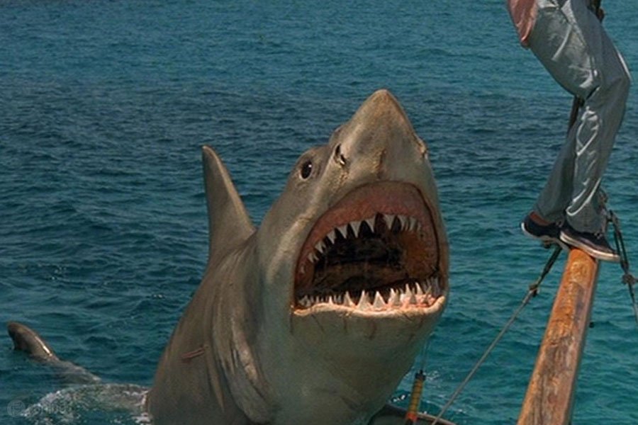 فیلم آرواره‎ها 1975 (Jaws)