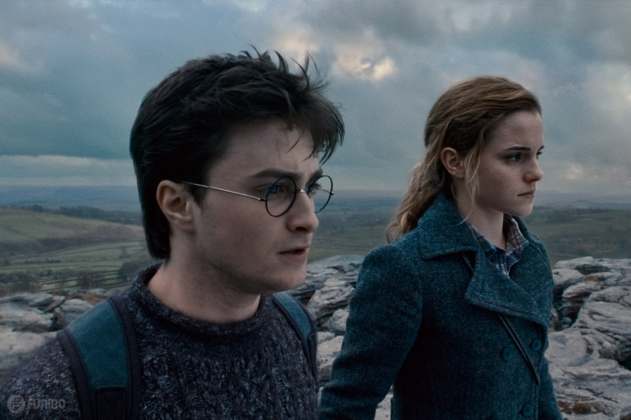 فیلم هری پاتر و یادگاران مرگ - قسمت اول (2010) Harry Potter and the Deathly Hallows - Part 1