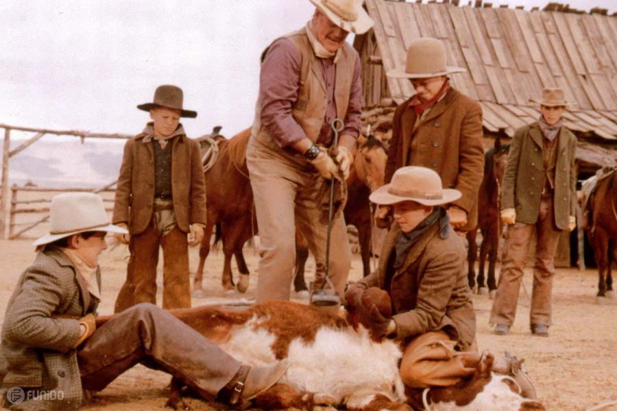 (The Cowboys (1972 کابوی‌‌ها