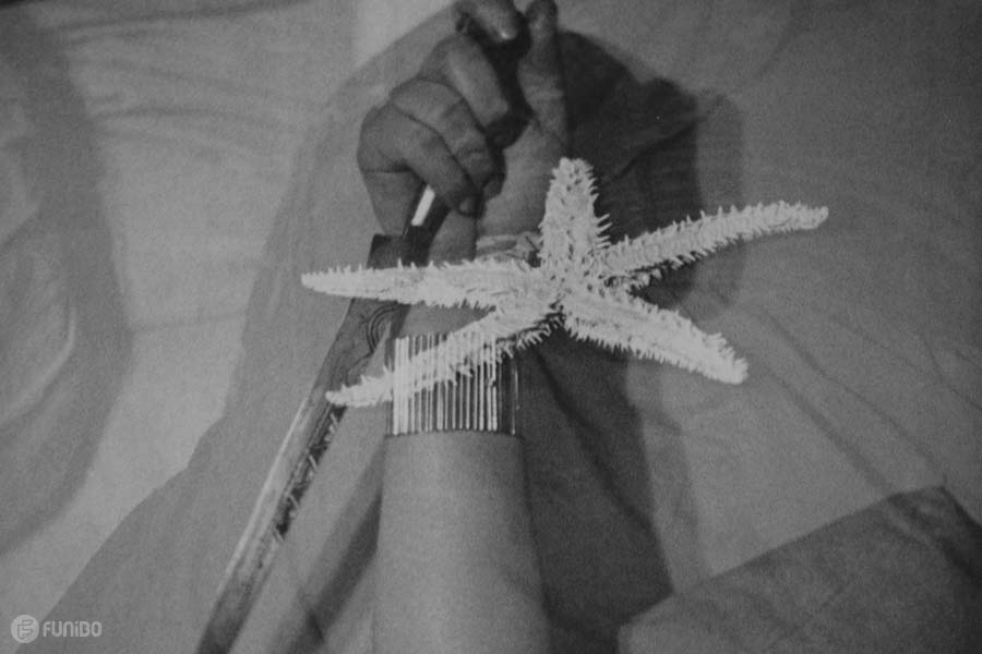 ستاره دریایی (1928) The Starfish
