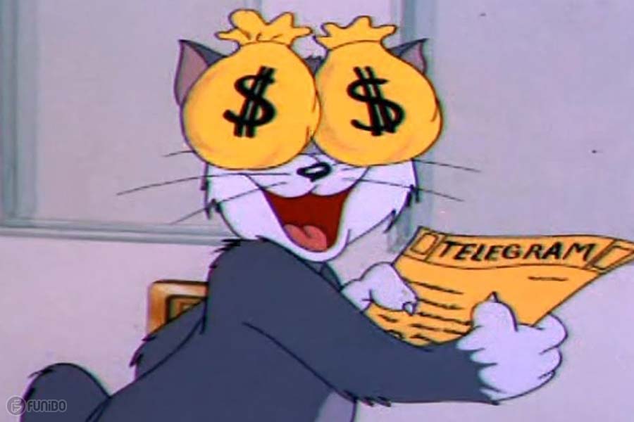 گربه میلیون دلاری