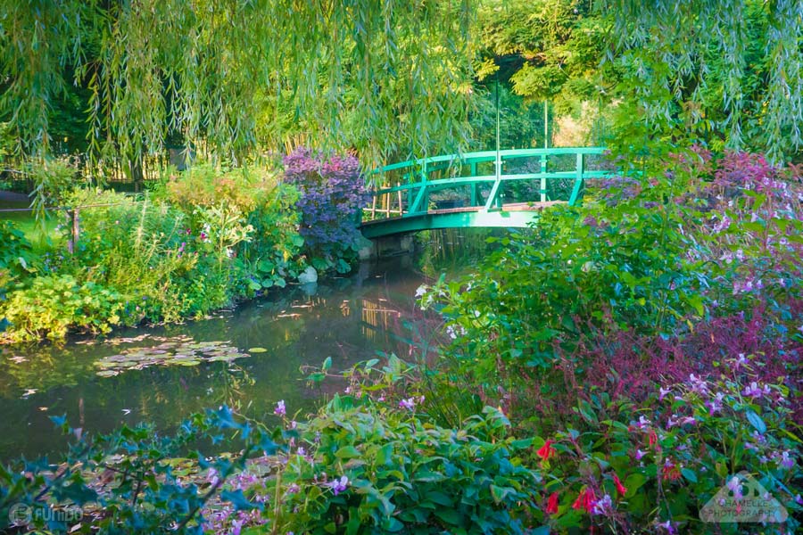 باغ کلود مونه در فرانسه