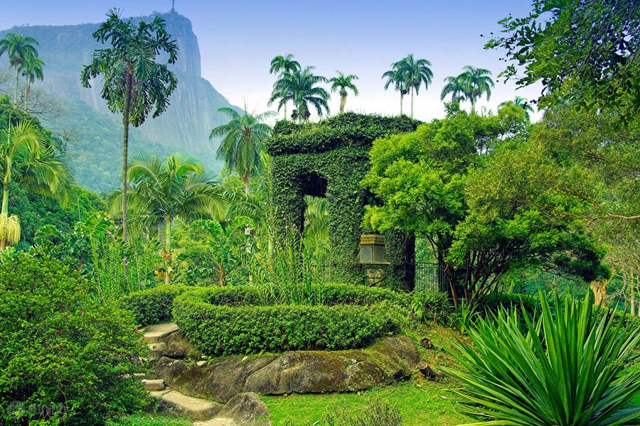 باغ گیاه‌شناسی ژاردیم در ریو دوژانیرو برزیل
