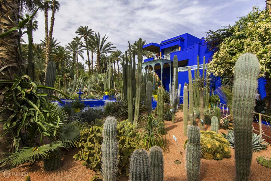 باغ ژاردین ماژورل در مراکش