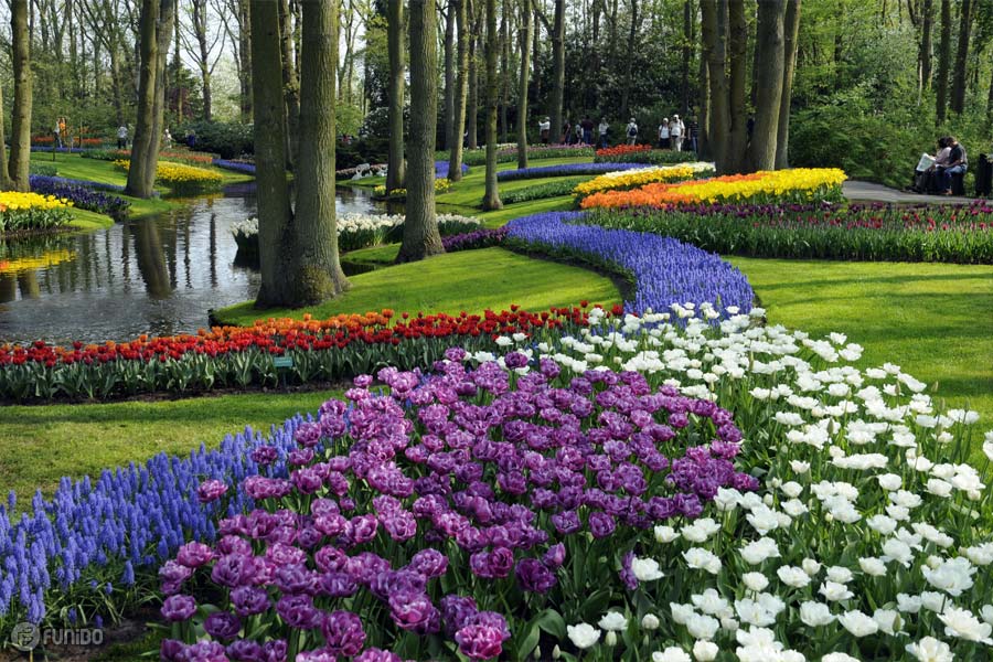 باغ کوکنهاف در لیسه هلند