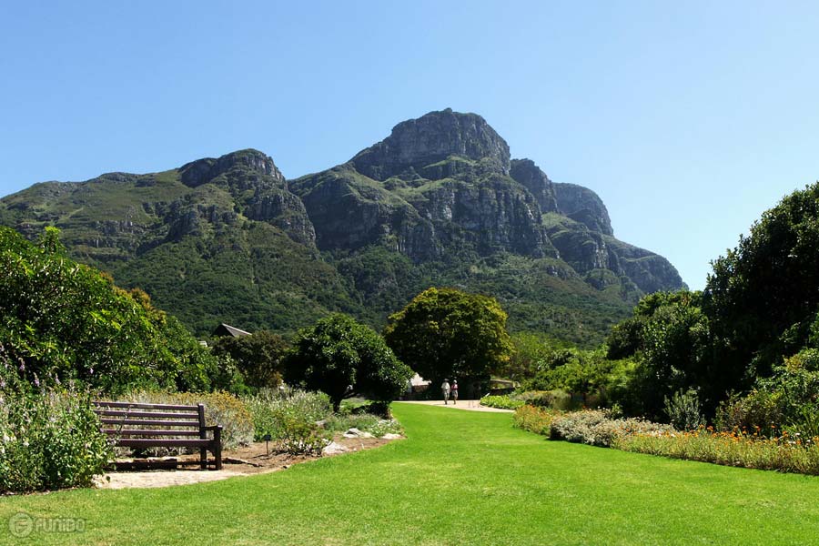 باغ ملی گیاه‌شناسی Kirstenbosch در کیپ تاون آفریقای جنوبی
