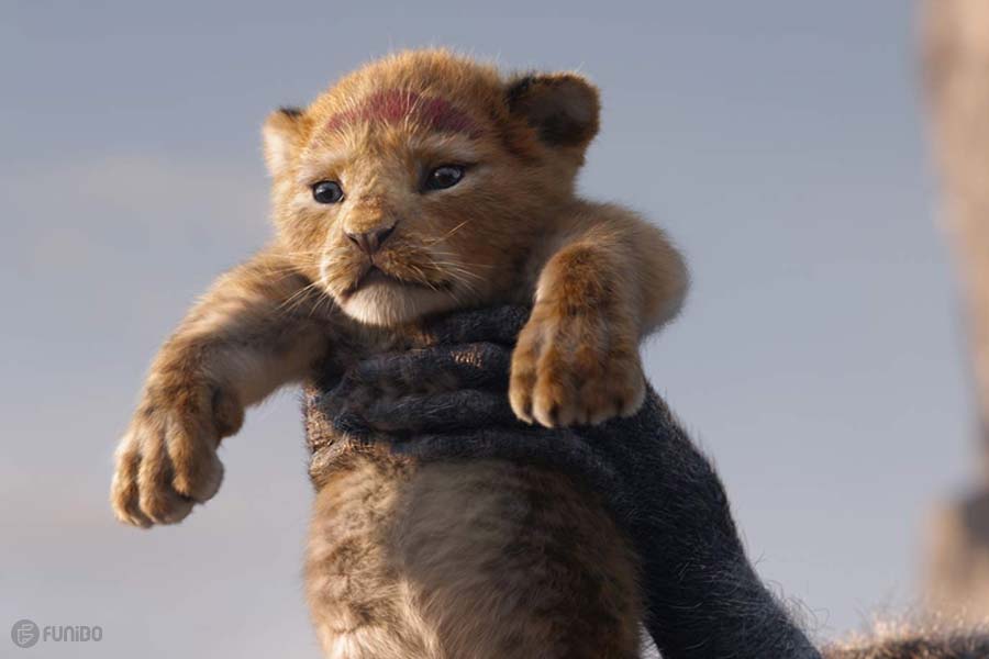 شیرشاه (2019) The Lion King